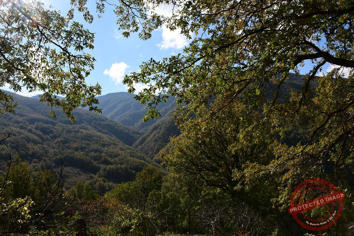 Pollino. Tappa 79