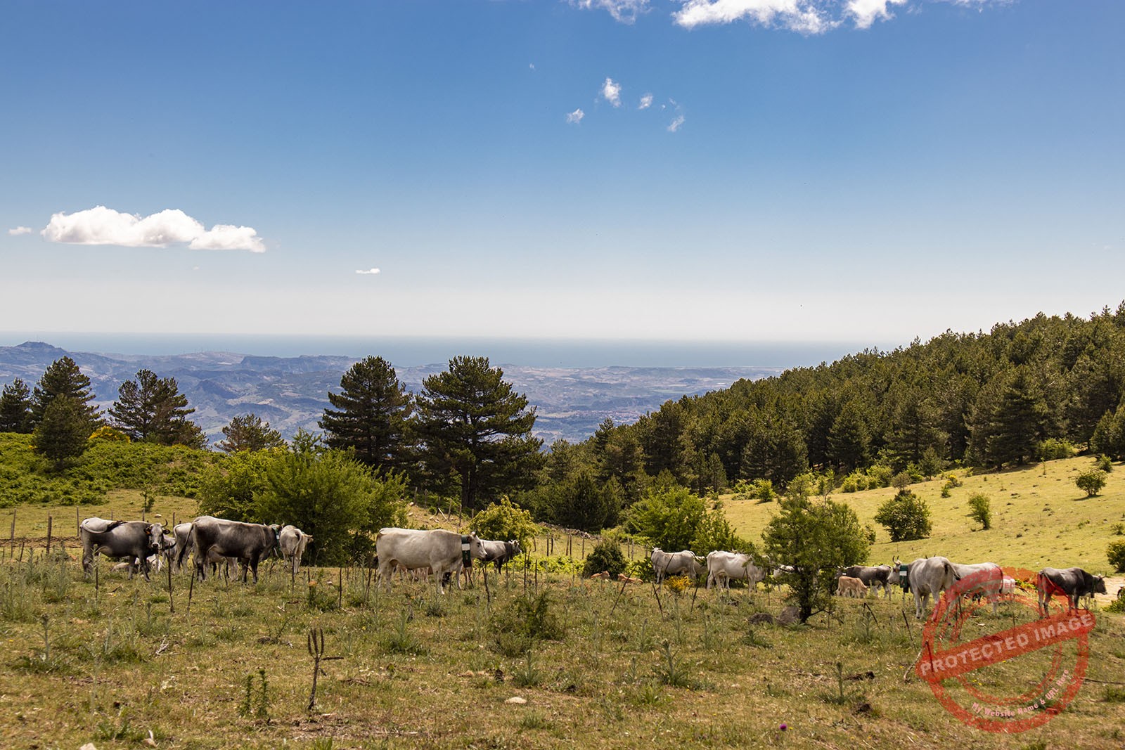 <br />
Punto panoramico Marchesato Crotonese<br />
