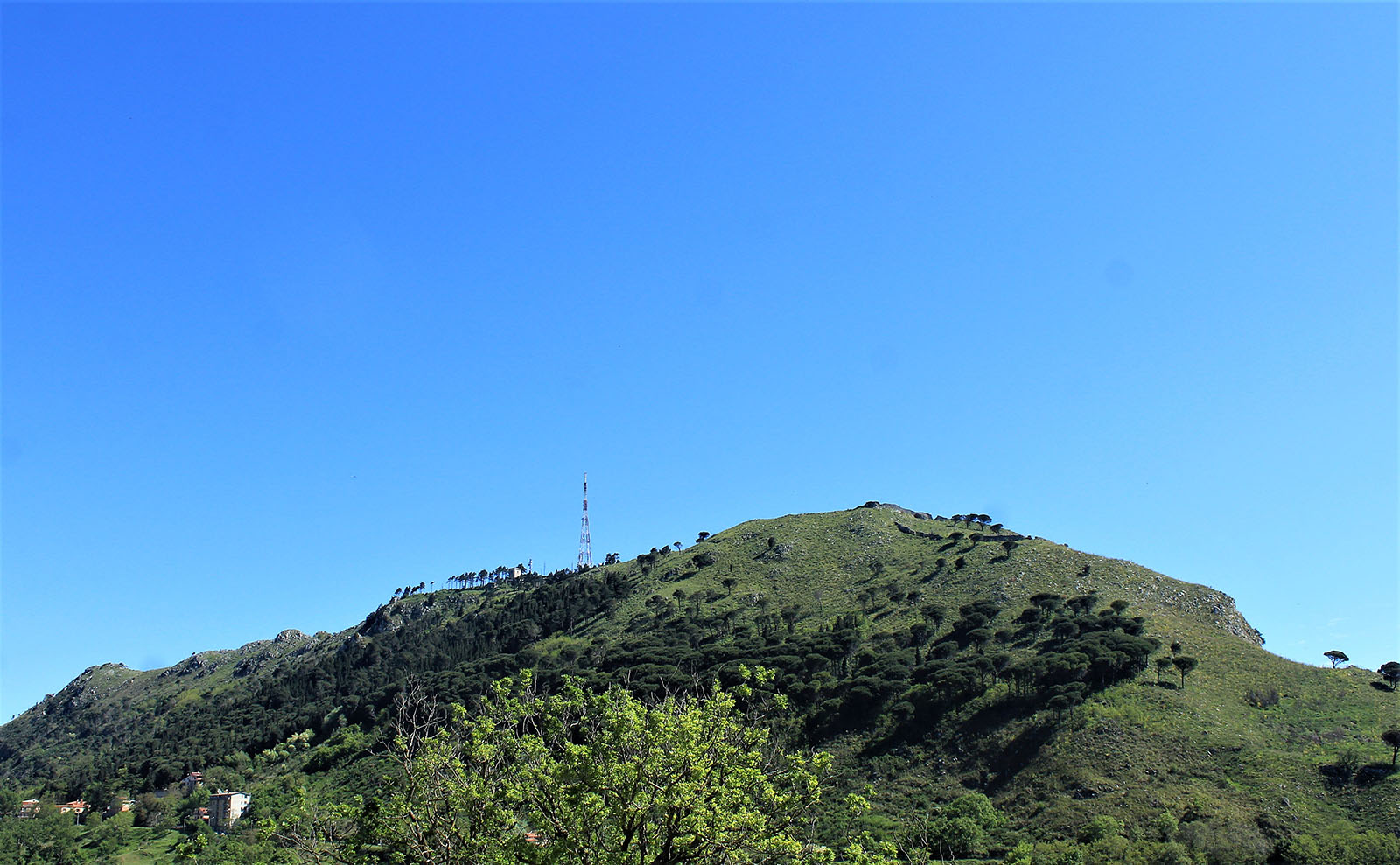 Monte Tiriolo
