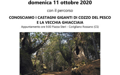 Giornata NAZIONALE del Camminare