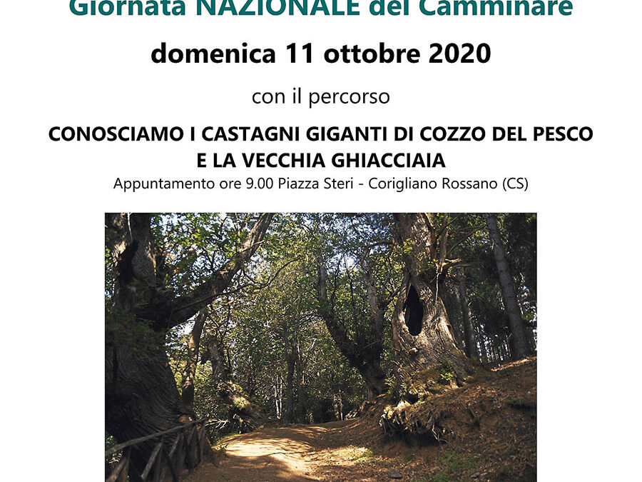 Giornata NAZIONALE del Camminare