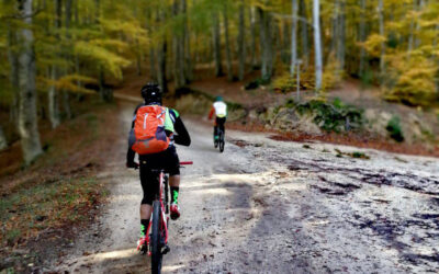 Il Cammino in bicicletta