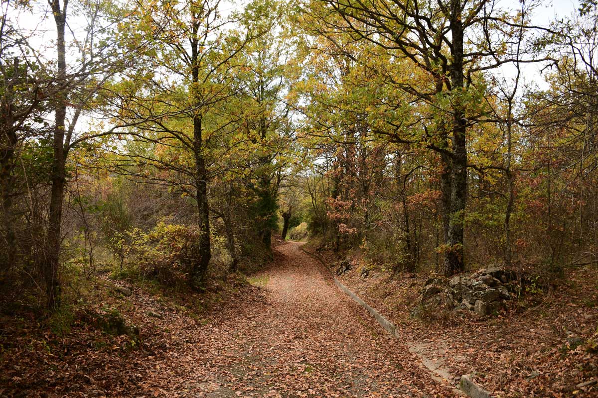 San Severino Lucano. A stretch of the "pilgrim's path" as it crosses the hamlet of Frido