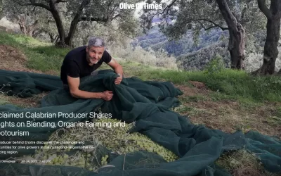 Olive Oil Times: Acclaimed Calabrian Producer Shares Insights on Blending, Organic Farming and Oleotourism