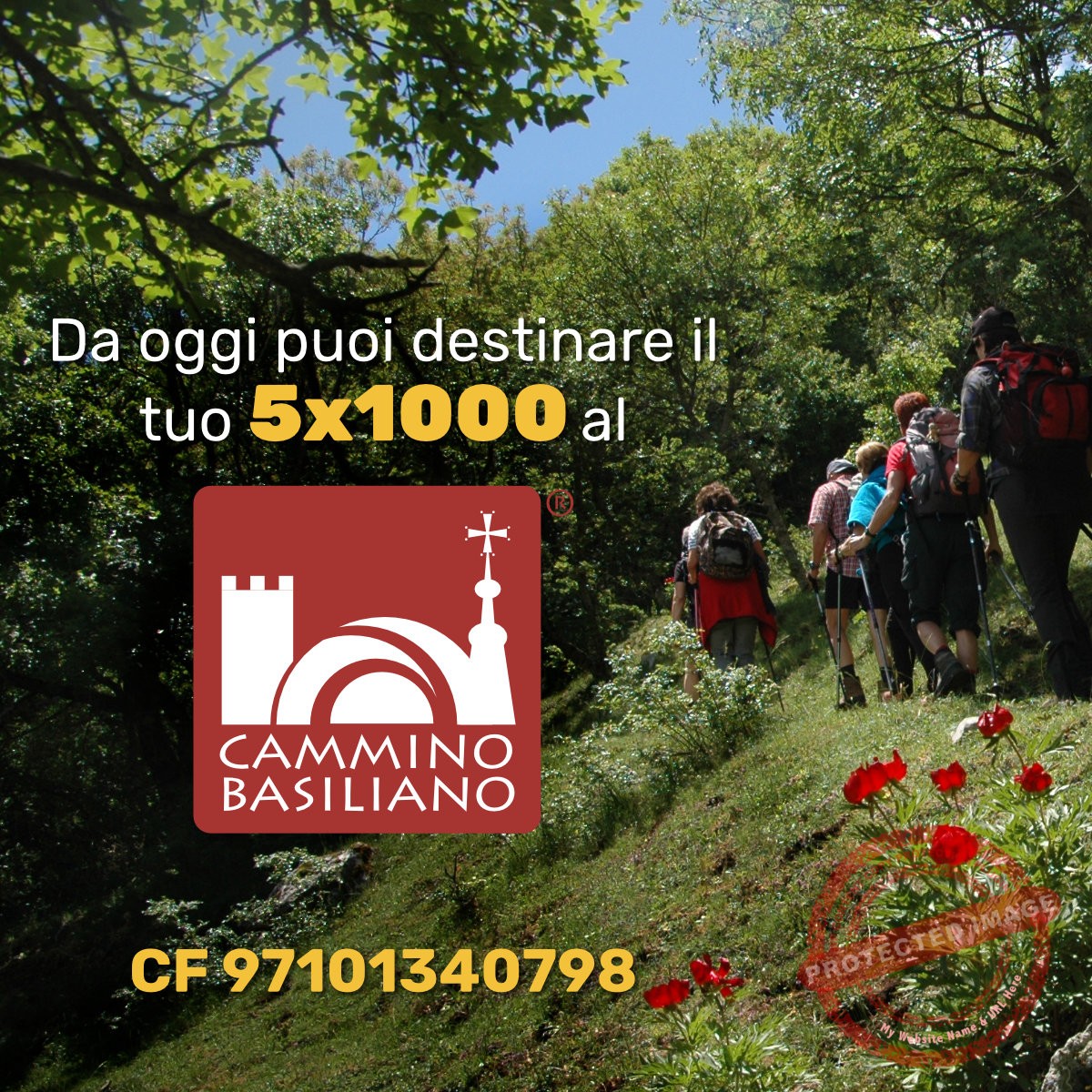 5x1000 all'Associazione Cammino Basiliano 5x1000 all'Associazione Cammino Basiliano