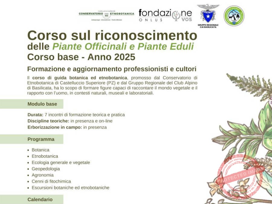 Corso di Riconoscimento delle Piante Officinali ed Eduli