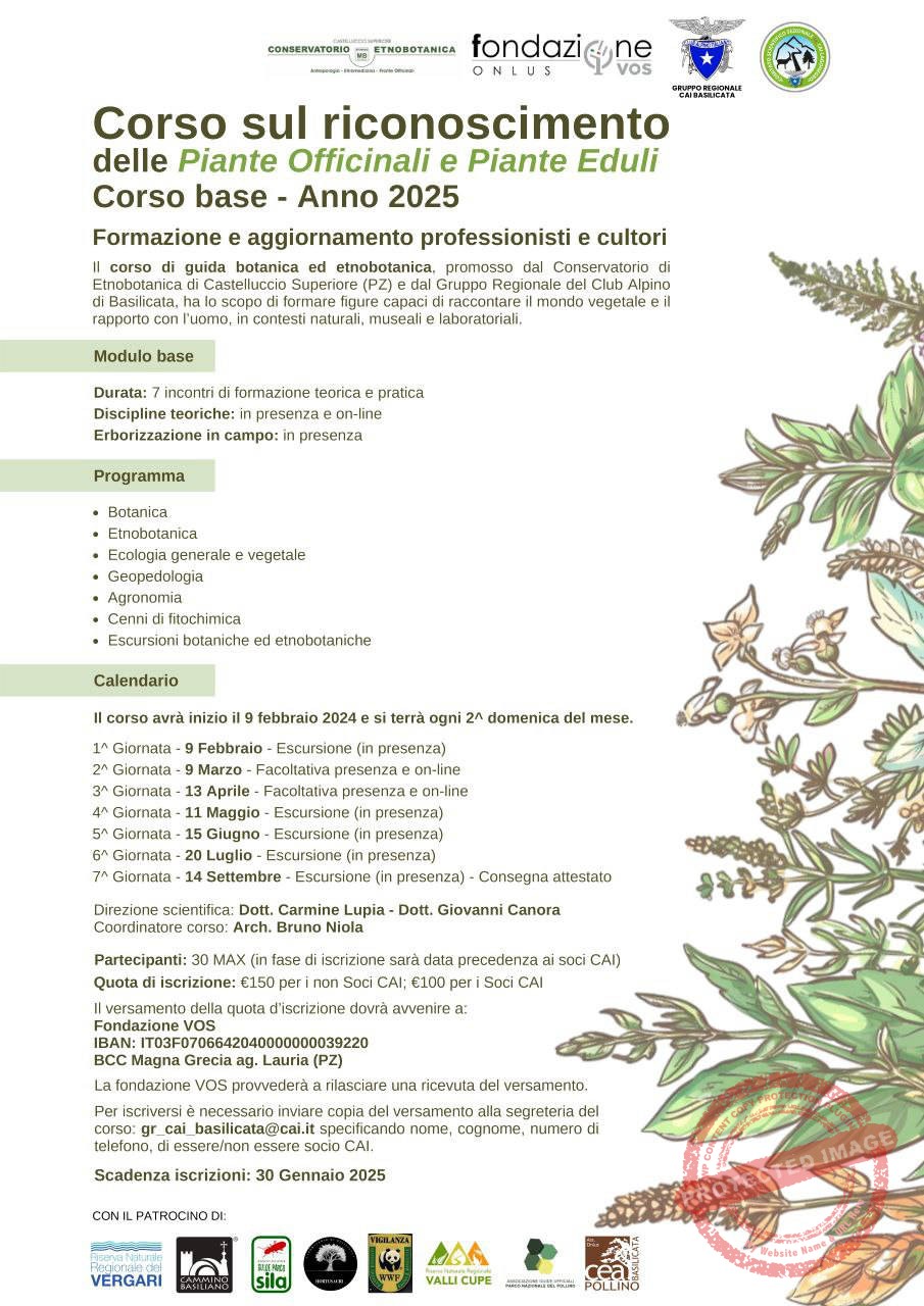 Conservatorio Etnobotanica: corso riconoscimento piante officinali  e piante eduli